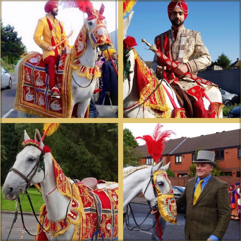 Rent White Horse Asian Wedding 2