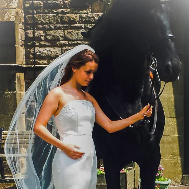 Rent Black Horse & Bride