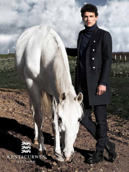 White Horse 5 - A-Z Animals