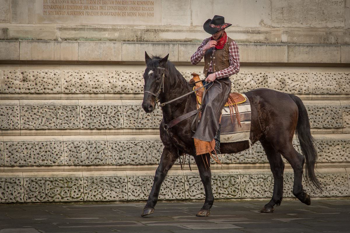 Rent Brown Cowboy Horse 1