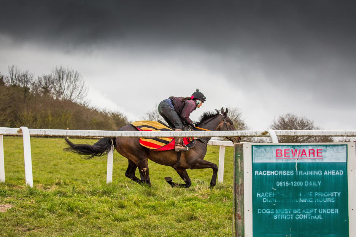 Rent Horse riding work