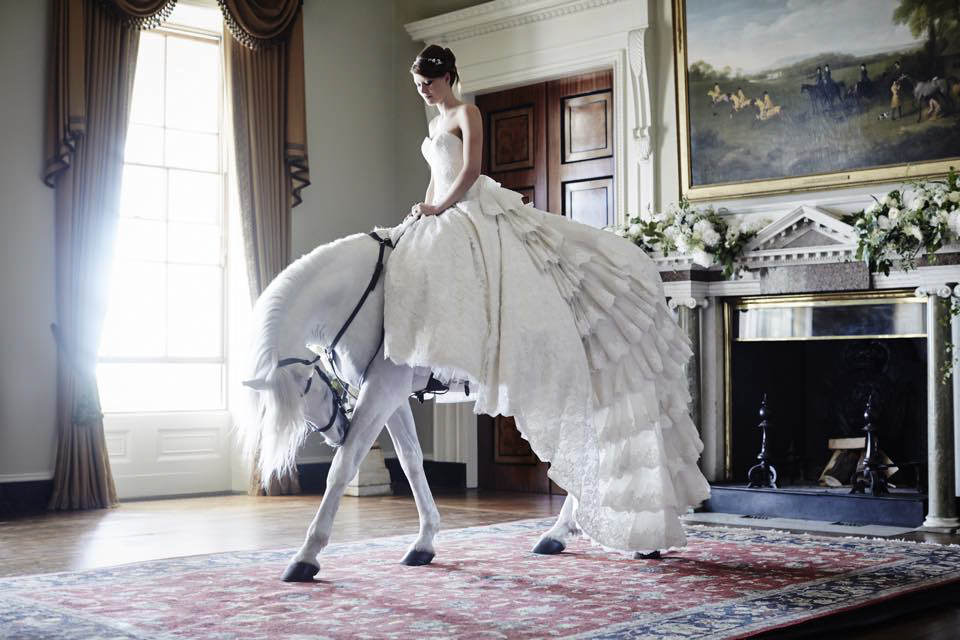 Rent White Horse Wedding