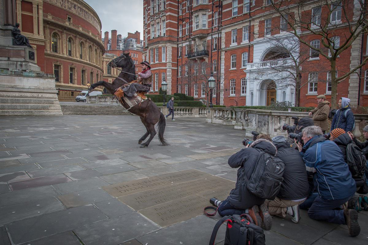 Rent Rearing Horse at Albert Hall