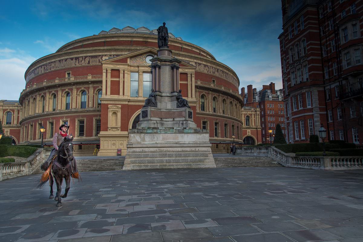 Rent Brown Horse at Royal Albert Hall