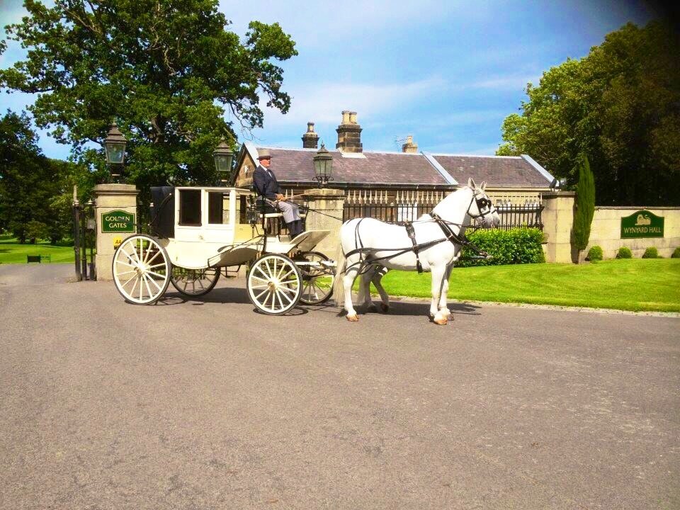 Rent White Horses & Carriage