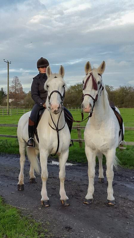 Rent White Horses 12