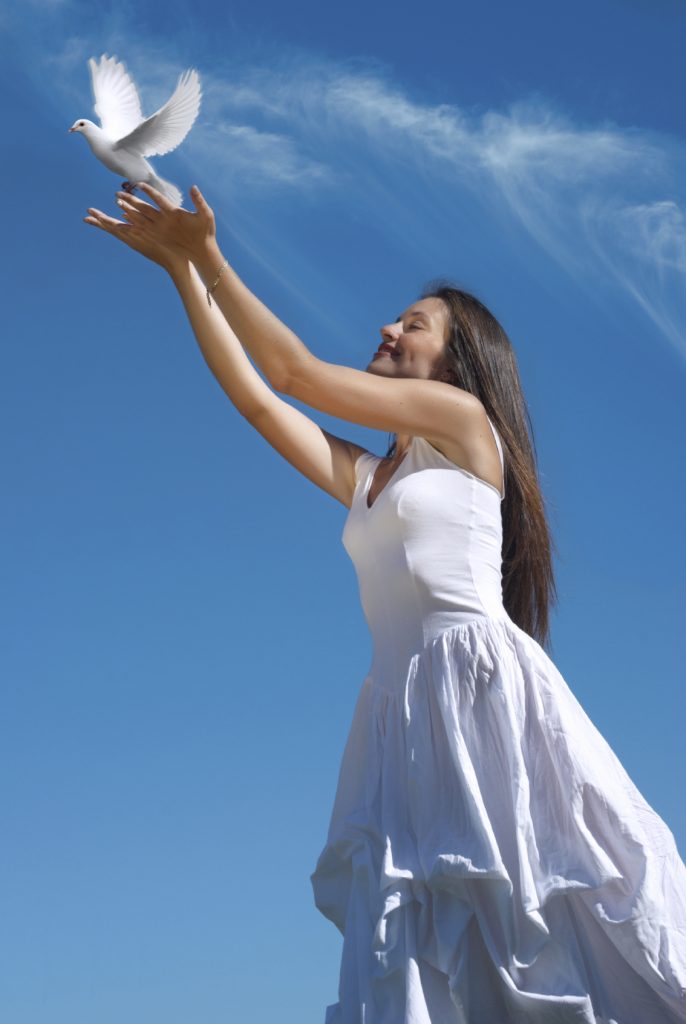 Dove Release 2 AZ Animals