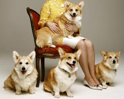 what breed of dog does the queen of england have